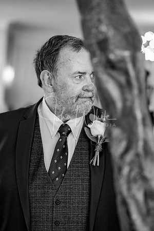 The wedding of Lydia & Joe Hall 110419