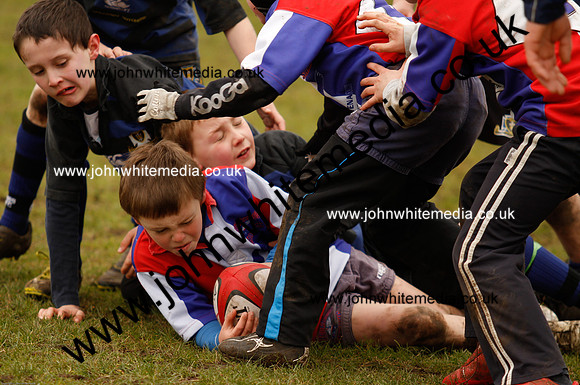 Dings v Sharks U-9s-74