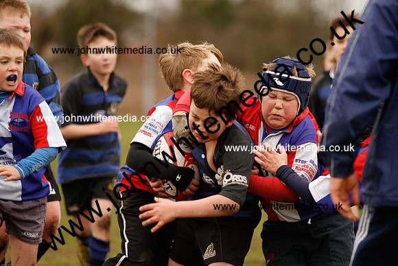 Dings v Sharks U-9s-63