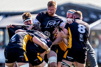 Esher Rugby vs Dings Crusaders 210919