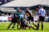 Esher Rugby vs Dings Crusaders 210919