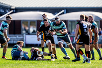 Esher Rugby vs Dings Crusaders 210919