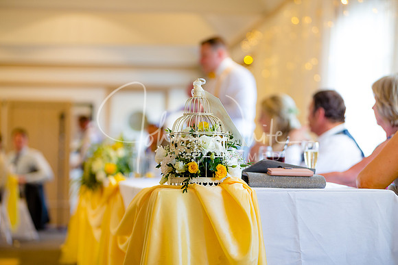 The Wedding of Nicky & Matt 260518