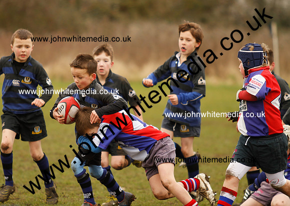Dings v Sharks U-9s-59
