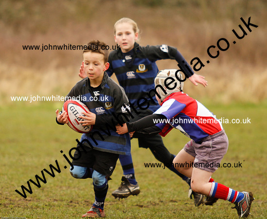 Dings v Sharks U-9s-46