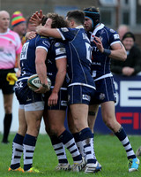 Plymouth Albion v Bristol Rugby
