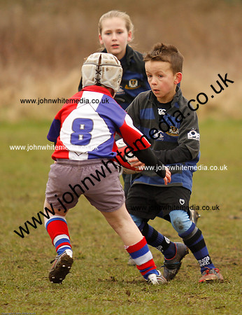 Dings v Sharks U-9s-45