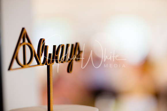 The Wedding of Nicky & Matt 260518