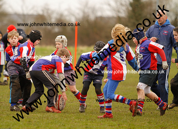 Dings v Sharks U-9s-73