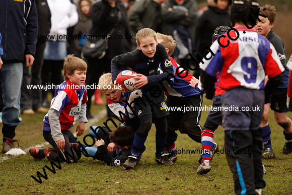 Dings v Sharks U-9s-51
