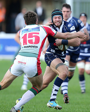 Plymouth Albion v Bristol Rugby