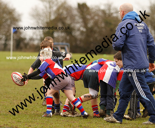 Dings v Sharks U-9s-69