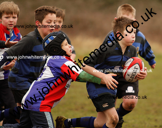 Dings v Sharks U-9s-32