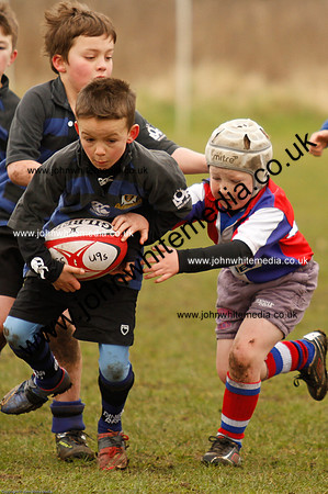Dings v Sharks U-9s-57