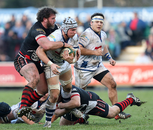 Cornish Pirates v Bristol Rugby
