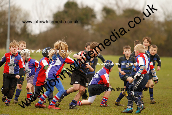 Dings v Sharks U-9s-66