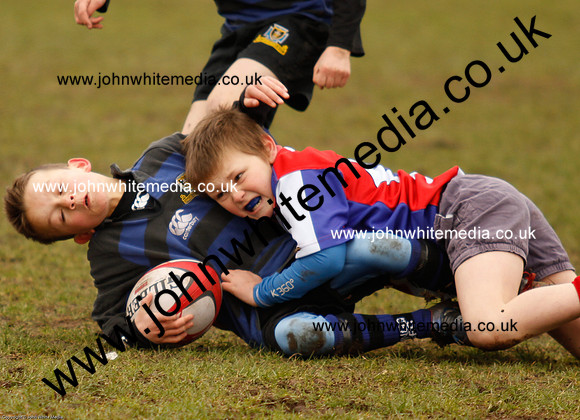 Dings v Sharks U-9s-60
