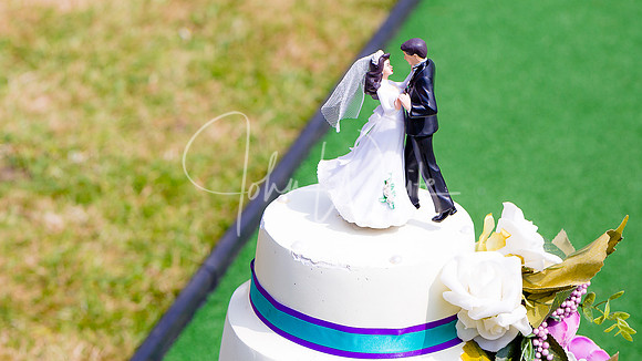 The Wedding of Nicky & Matt 260518