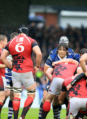 Bristol Rugby v London Welsh