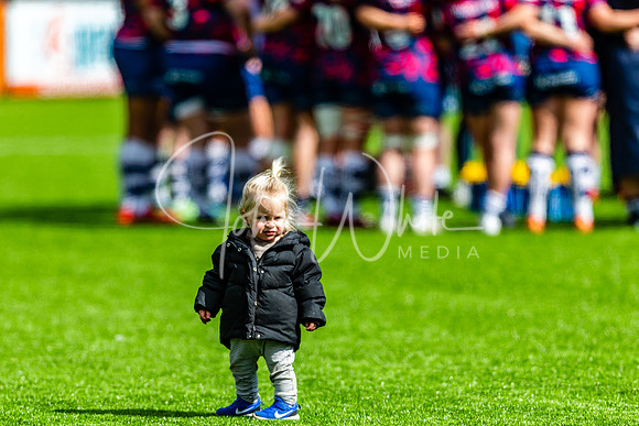 Dings Crusaders Henley Hawks