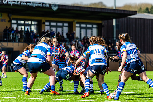 Dings Crusaders Henley Hawks