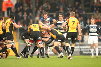 Bristol v Cornish Pirates-2