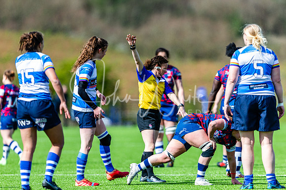 Dings Crusaders Henley Hawks