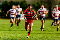 Old Reds v Wimbledon 161217