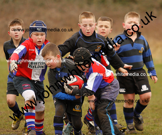 Dings v Sharks U-9s-16