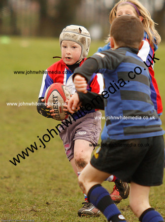 Dings v Sharks U-9s-91