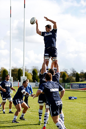 Moseley v Bristol Rugby