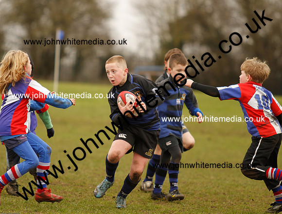 Dings v Sharks U-9s-78