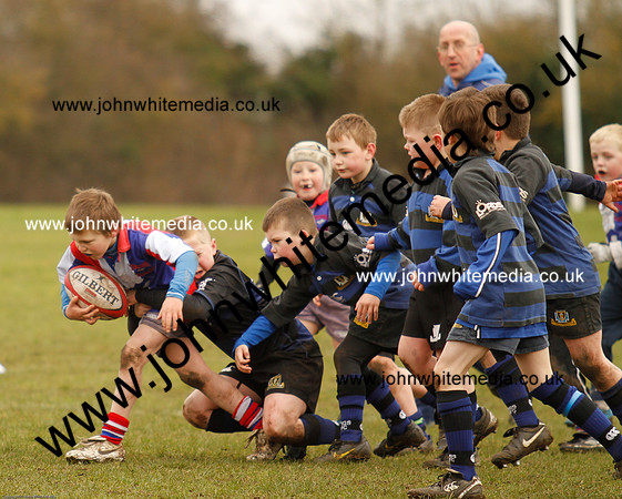 Dings v Sharks U-9s-86