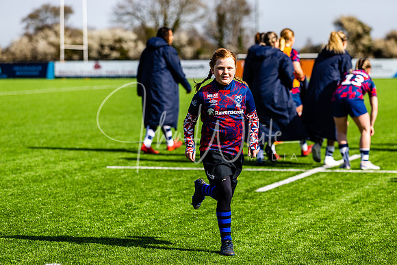 Dings Crusaders Henley Hawks