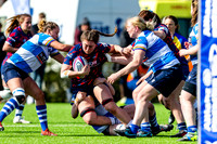 BBW vs DMP 020422