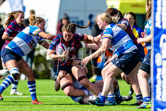 Dings Crusaders Henley Hawks