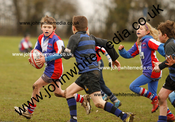 Dings v Sharks U-9s-96