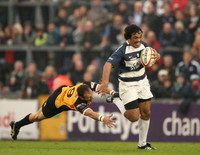 Bristol v Cornish Pirates-18