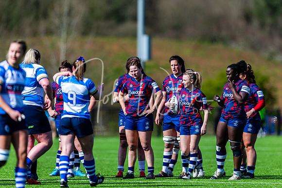 Dings Crusaders Henley Hawks