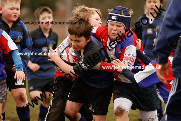 Dings v Sharks U-9s-64