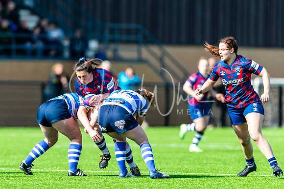 Dings Crusaders Henley Hawks