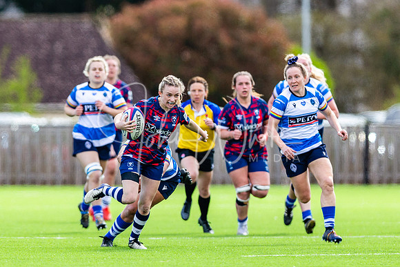 Dings Crusaders Henley Hawks