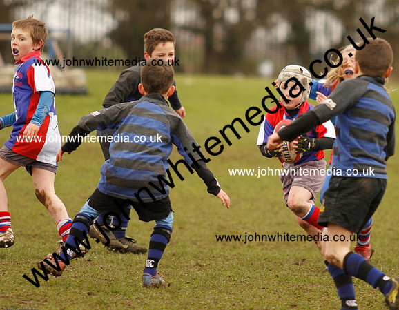 Dings v Sharks U-9s-90