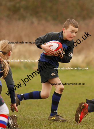 Dings v Sharks U-9s-27
