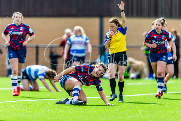 Dings Crusaders Henley Hawks