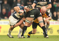 Bristol v Cornish Pirates-12