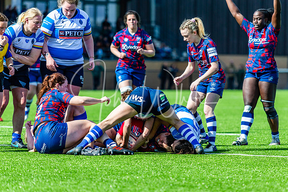 Dings Crusaders Henley Hawks