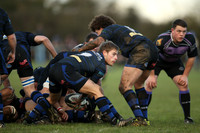 Dings v Clifton-4