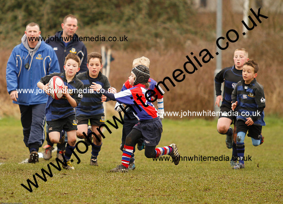 Dings v Sharks U-9s-25