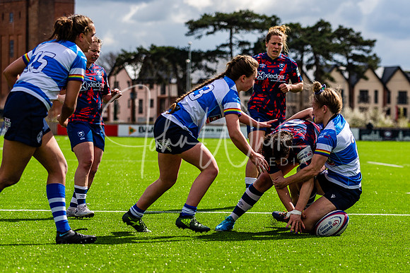 Dings Crusaders Henley Hawks